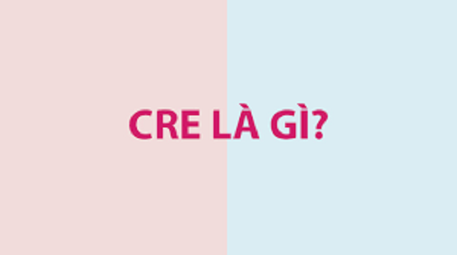 Cre, via, p/s là thuật ngữ gì? Cách sử dụng ra sao cho phù hợp Cre, via, p/s là thuật ngữ gì? Cách sử dụng ra sao cho phù hợp