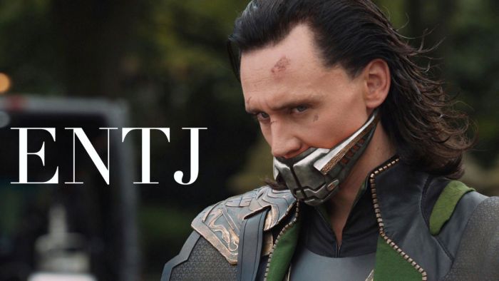 ENTJ Là Gì? Nhóm nghề nghiệp nào phù hợp với tính cách ENTJ? 1 ENTJ Là Gì? Nhóm nghề nghiệp nào phù hợp với tính cách ENTJ?