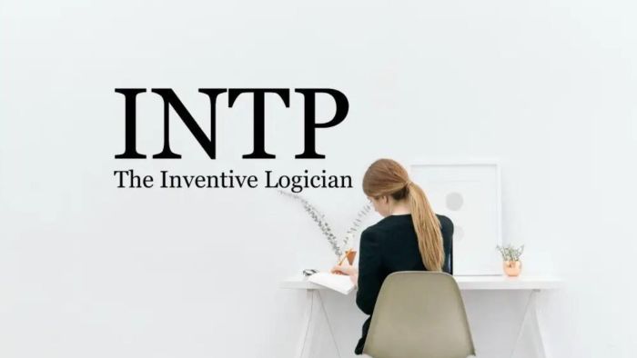 INTP là gì? Đặc điểm và tính cách của Nhà tư duy và phù hợp với nghề nghiệp nào 2 INTP là gì? Đặc điểm và tính cách của Nhà tư duy và phù hợp với nghề nghiệp nào