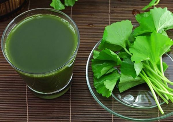 12 cách làm đẹp da mặt từ thiên nhiên chuẩn spa tại nhà ai cũng nên biết 12 cách làm đẹp da mặt từ thiên nhiên chuẩn spa tại nhà ai cũng nên biết
