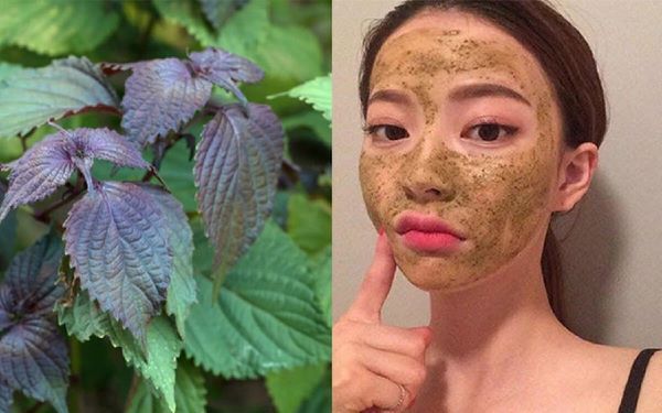 12 cách làm đẹp da mặt từ thiên nhiên chuẩn spa tại nhà ai cũng nên biết 12 cách làm đẹp da mặt từ thiên nhiên chuẩn spa tại nhà ai cũng nên biết