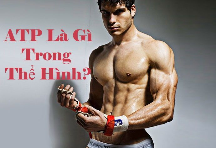 Atp La Gi