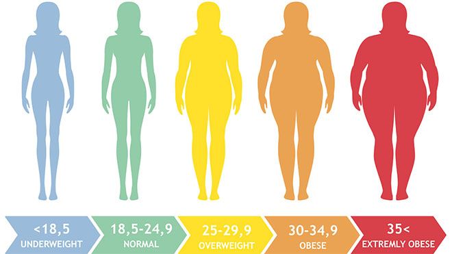 Cách tính chỉ số BMI nữ đơn giản và chính xác nhất