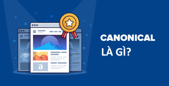 Canonical là gì? Cách sử dụng và tối ưu hóa Canonical URL? Canonical là gì? Cách sử dụng và tối ưu hóa Canonical URL?