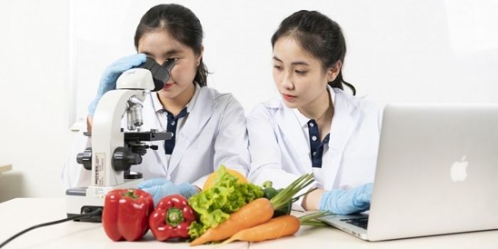 Nghành công nghệ thực phẩm là gì? Điểm chuẩn cao không? Ra trường làm gì? 9 Nghành công nghệ thực phẩm là gì? Điểm chuẩn cao không? Ra trường làm gì?