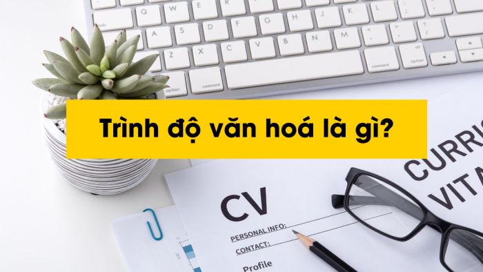 Trình độ văn hóa là gì? Tìm hiểu cách ghi trình độ văn hóa trong sơ yếu lý lịch đúng chuẩn 1 Trình độ văn hóa là gì? Tìm hiểu cách ghi trình độ văn hóa trong sơ yếu lý lịch đúng chuẩn