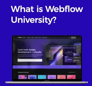 Tất tần tật những điều cần biết về Webflow 2023 1 Tất tần tật những điều cần biết về Webflow 2023